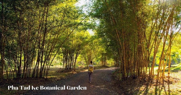 Pha Tad Ke Botanical Garden (3)