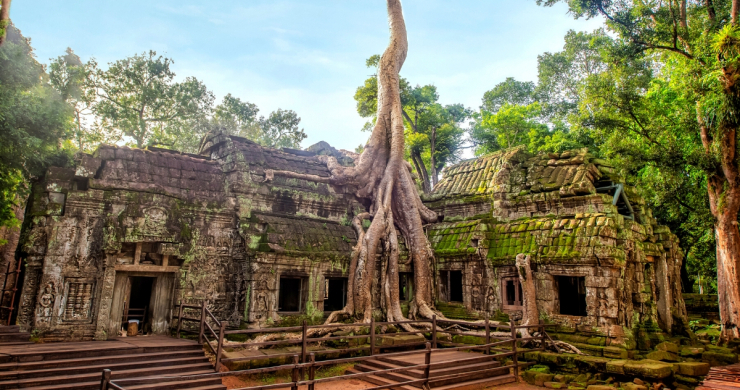 Spend Time At Ta Prohm Temple
