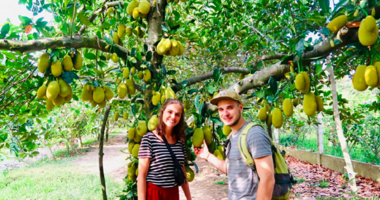 Day 2 Visiting The Fruit Orchards In Mekong Delta
