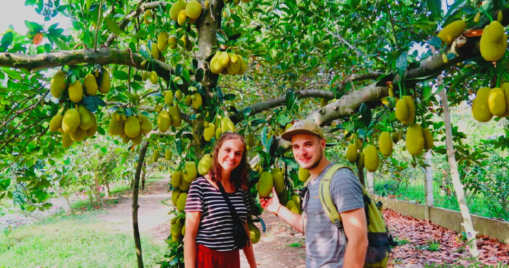 Day 3 Visit The Fruit Orchards In Mekong Delta