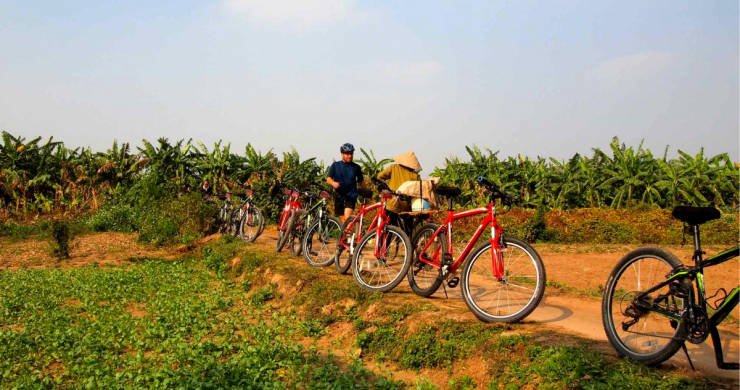 Cycle Through The Banana And Farming Area