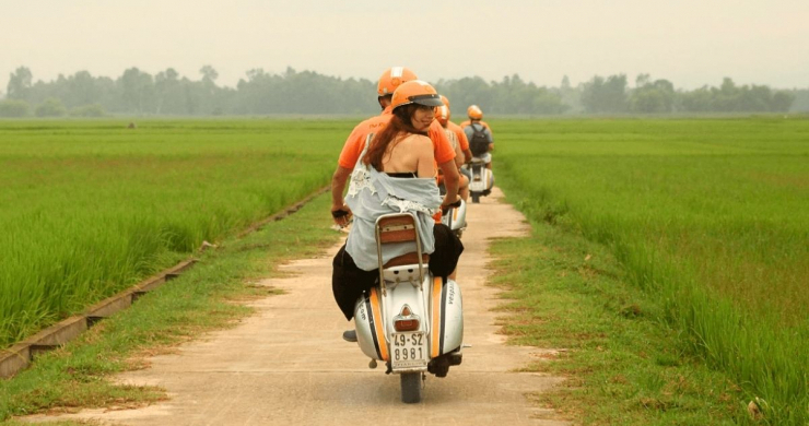 Enjoy The Ride Through The Scenic Rice Fields