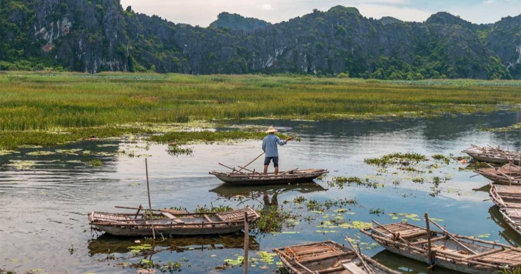 Get On An Exciting Bamboo Boat Ride In Van Long Nature Reserve
