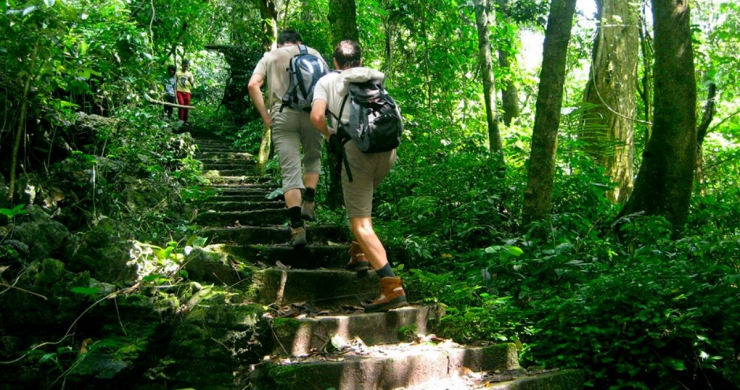Start Your Trekking Journey In Cuc Phuong National Park