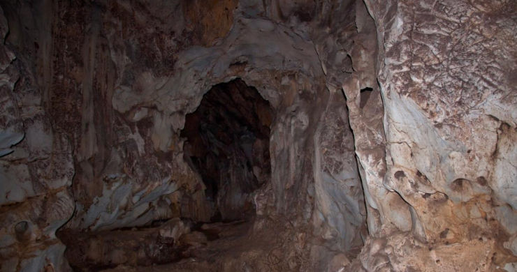 Walk Inside To Discover The Living Space Of Prehistoric Man