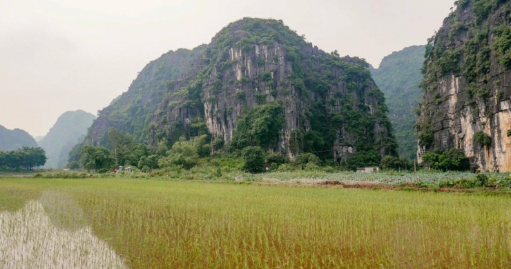 Day 1 The Breathtaking Rice Fields In Tam Coc
