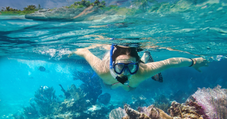 Snorkeling And Discover The Vibrant Underwater World