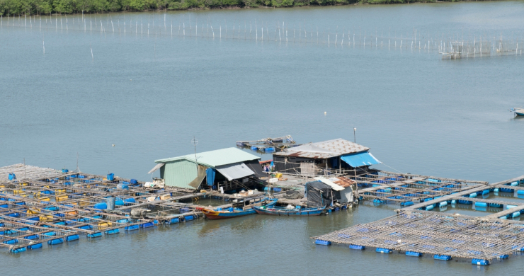 Visit Fish Farms With The Floating Cages
