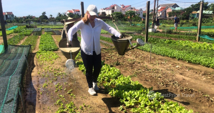 Day 4 Water Vegetables In Cam Thanh Village