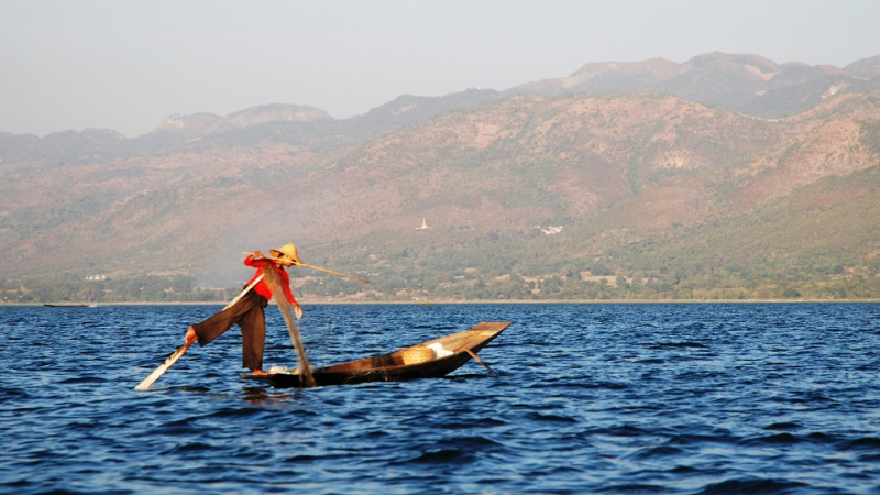 Inle Lake Burma Fisherman