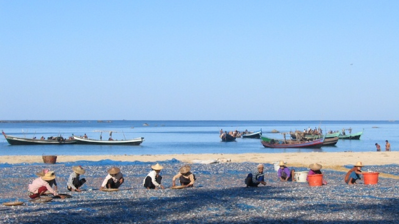 Ngapali Fishermen