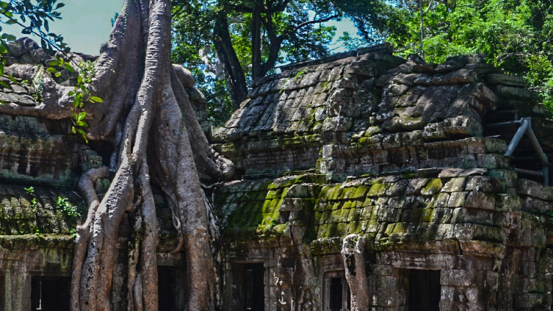 Ta Prohm Trees Eating Building