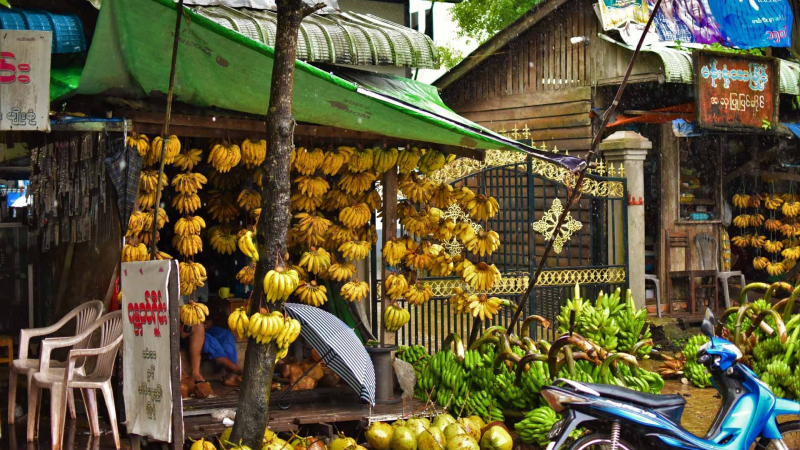 Kyauktan Banana Shop Roadside Coconut Myanmar(1)