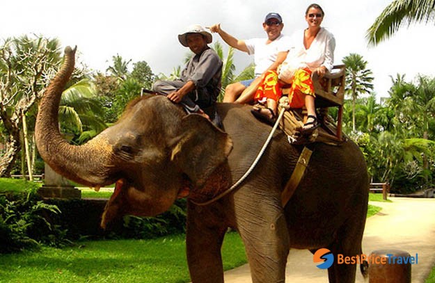 Mahout Experience