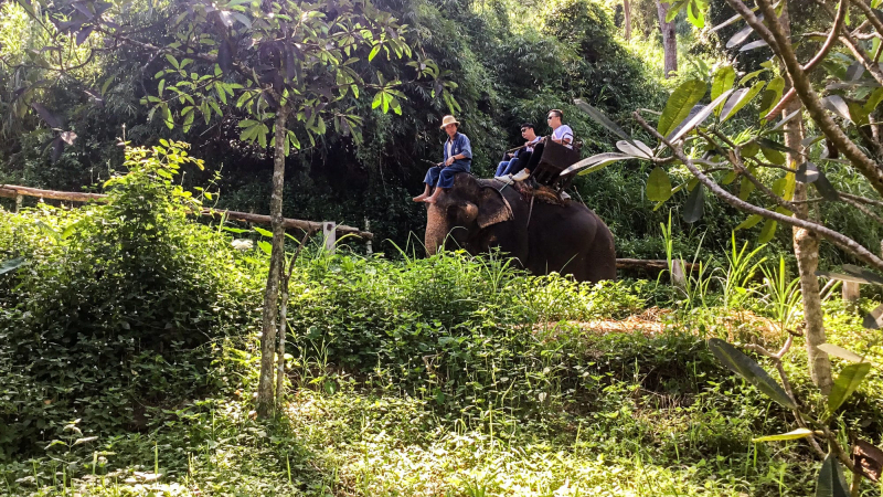 Elephan Riding