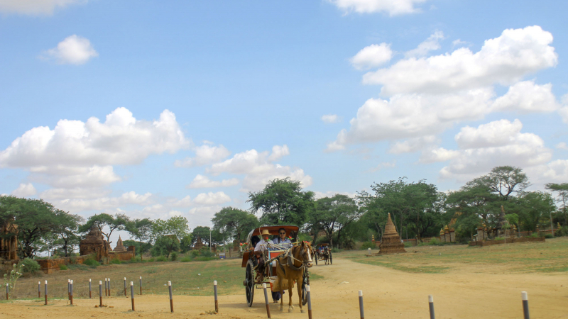 Rise Horse In Bagan