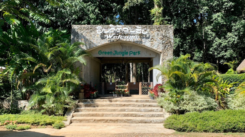 Green Jungle Park