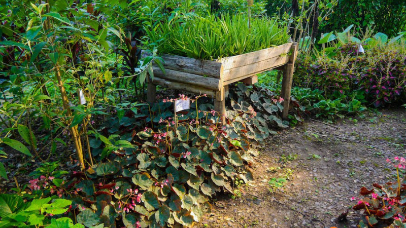 Pha Tad Ke Botanical Garden 