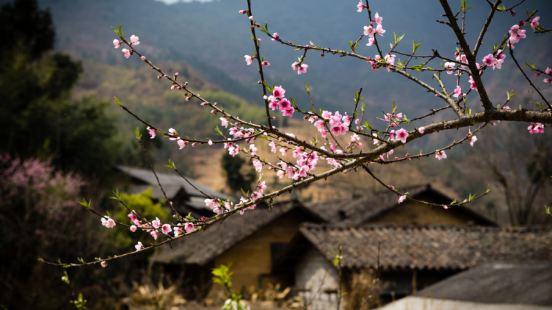 Ha Giang in the Winter