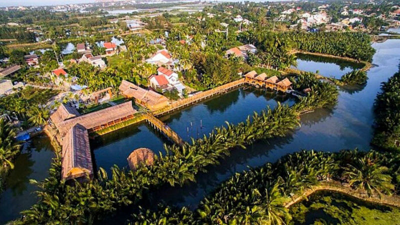 Aerial View Of Coconut Forest