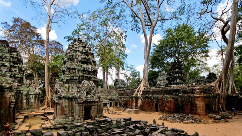 Day 13 Visit The Location Of Famous Hollywood Film Ta Prohm Temple
