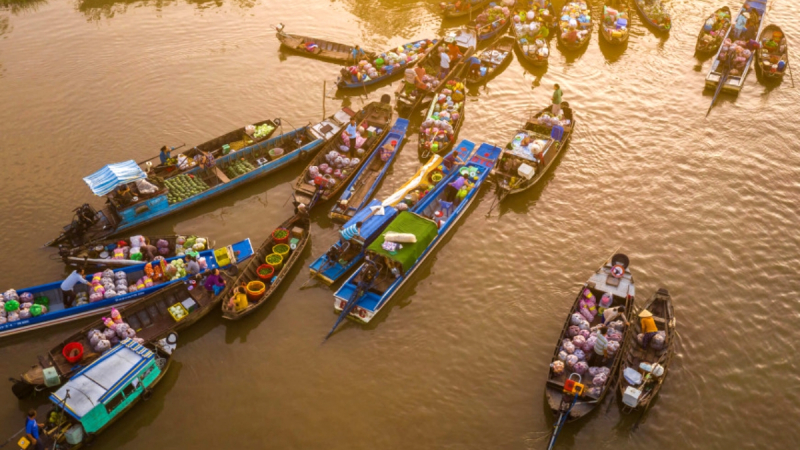 Day 3 Discover Unique Attractions In Mekong Delta