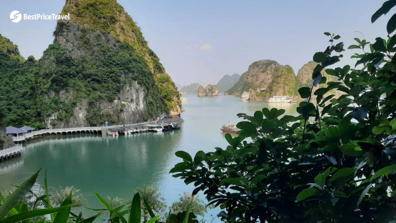 Day 6 Explore Magnificent Sightseeing Spots In Halong Bay