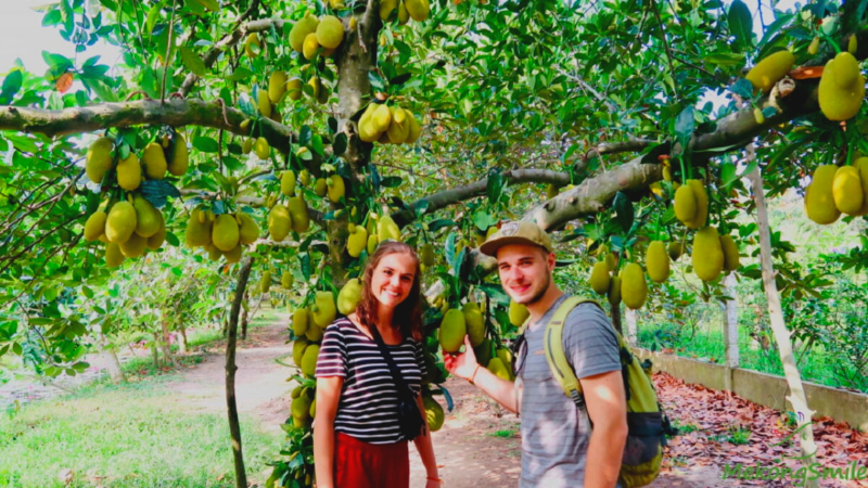 Day 3 Visit The Fruit Orchards In Mekong Delta
