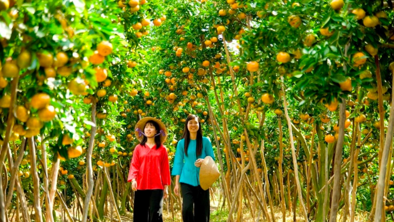 Day 2 Visit The Fruit Orchards In Mekong Delta