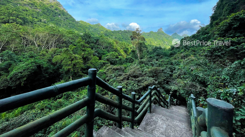 Explore the wonderful Trung Trang Cave in Cat Ba Island