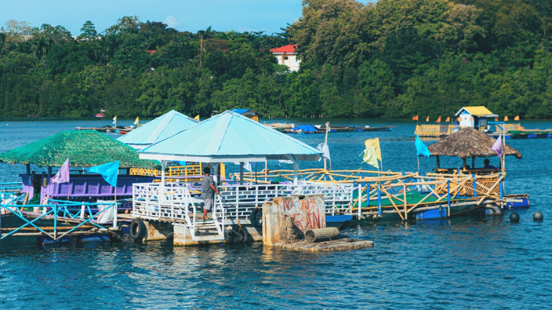 Visit Bai Lang Fishing Village And Connect With The Local Farmers