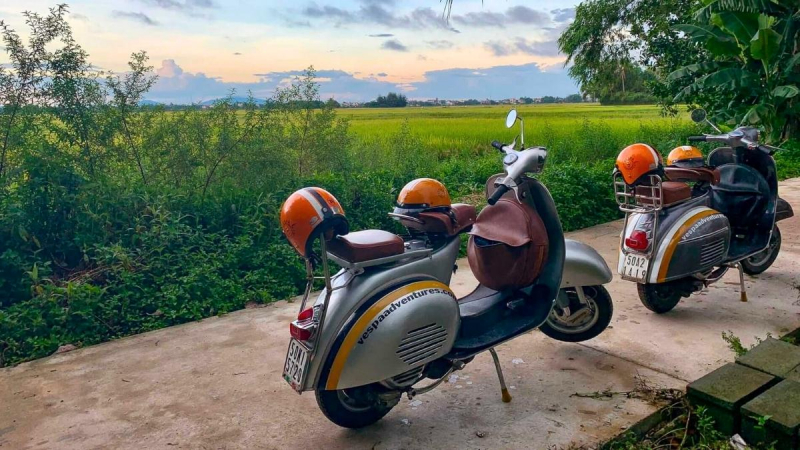 Witness The Spectacular Rice Paddies In Hoi An