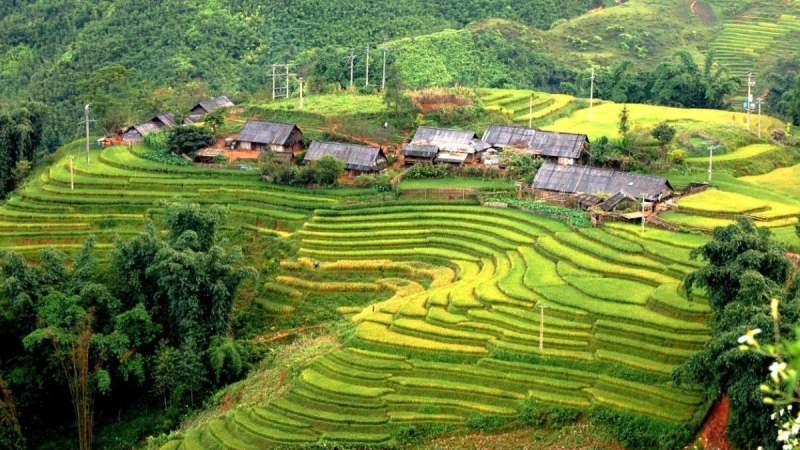 Day 2 Uncover The Rustic Beauty Of Ban Ho Village