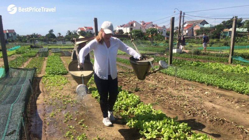 Day 9 Opportunity To Be A Real Farmer In Cam Thanh Village