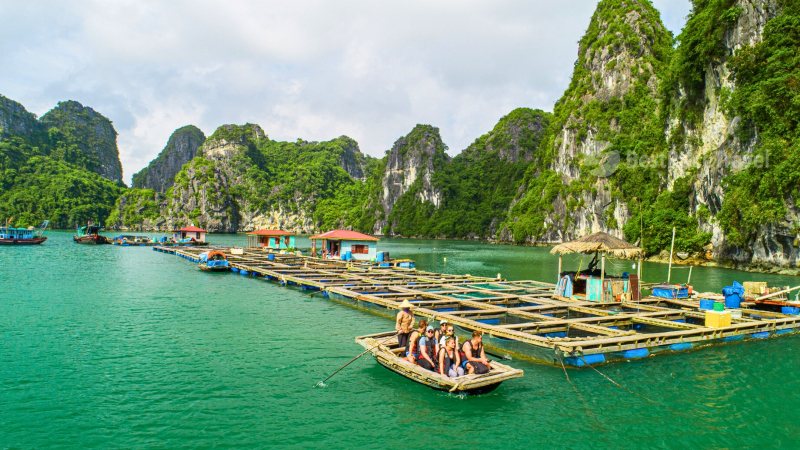 Feel The Breathtaking Natural Beauty Of Halong Bay While Cruising By Boat