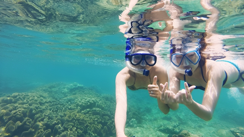 Try Snorkeling With Experienced Instructors
