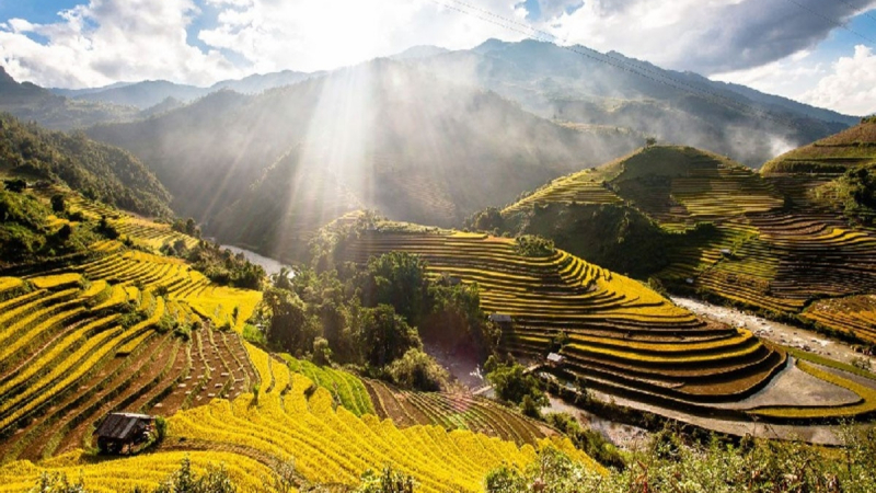 Day 4 Take In The Splendor Of The Muong Lo Rice Terraces