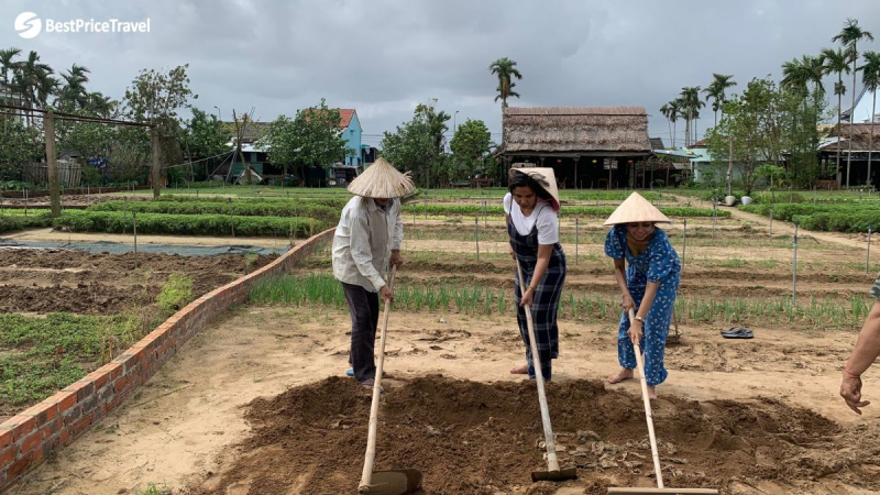 Day 8 Try Some Farming Activities in Cam Thanh Village