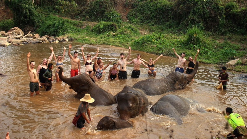 Day 6 Enjoy A Mud Spa With The Elephants