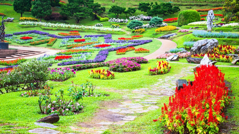 Poetic Scenery In Mae Fah Luang Botanical Garden