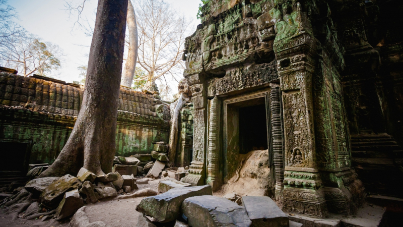 The Ancient Ta Prohm Temple