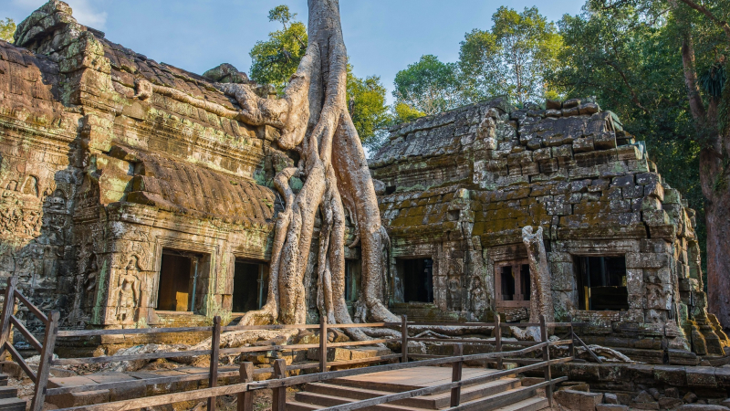 Ta Prohm Monastery Of The King