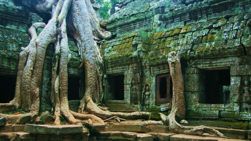 Day 4 Ta Prohm An Ancient Temples That Have Overrunned By Enormous Root Plants