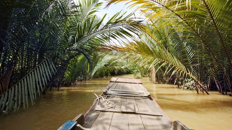Day 14 Explore A Canal In Mekong Delta On Sampan