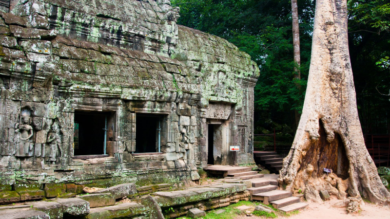 Day 2 Ta Prohm Served As A Mahayana Buddhist Monastery And School