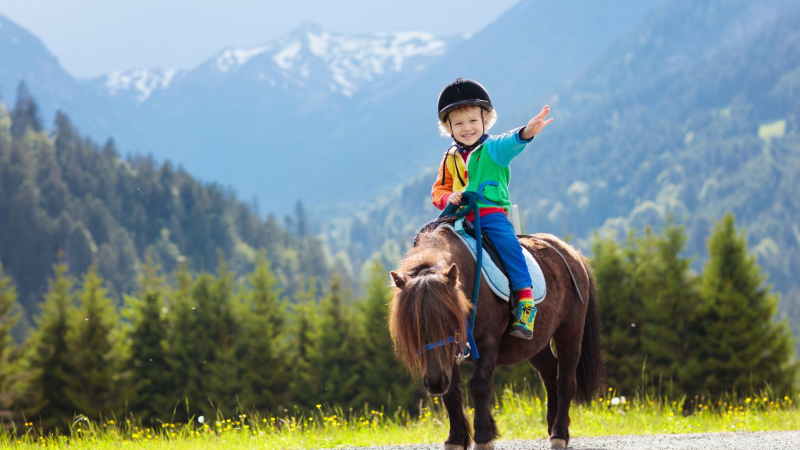 Day 4 Get Your Kids An Exciting Pony Riding Experience