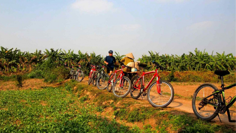 Cycle Through The Banana And Farming Area