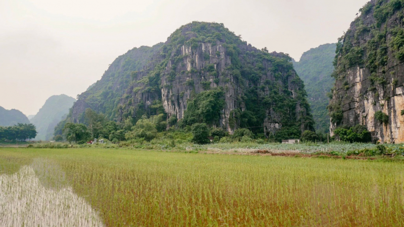 Day 1 The Breathtaking Rice Fields In Tam Coc