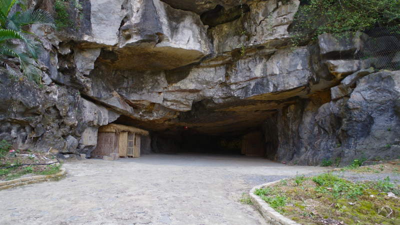 Mua Cave, One Of Ninh Binh's Most Captivating Destinations
