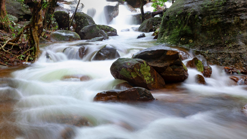 Enjoy The Serene Natural Atmosphere When In Tranh Stream